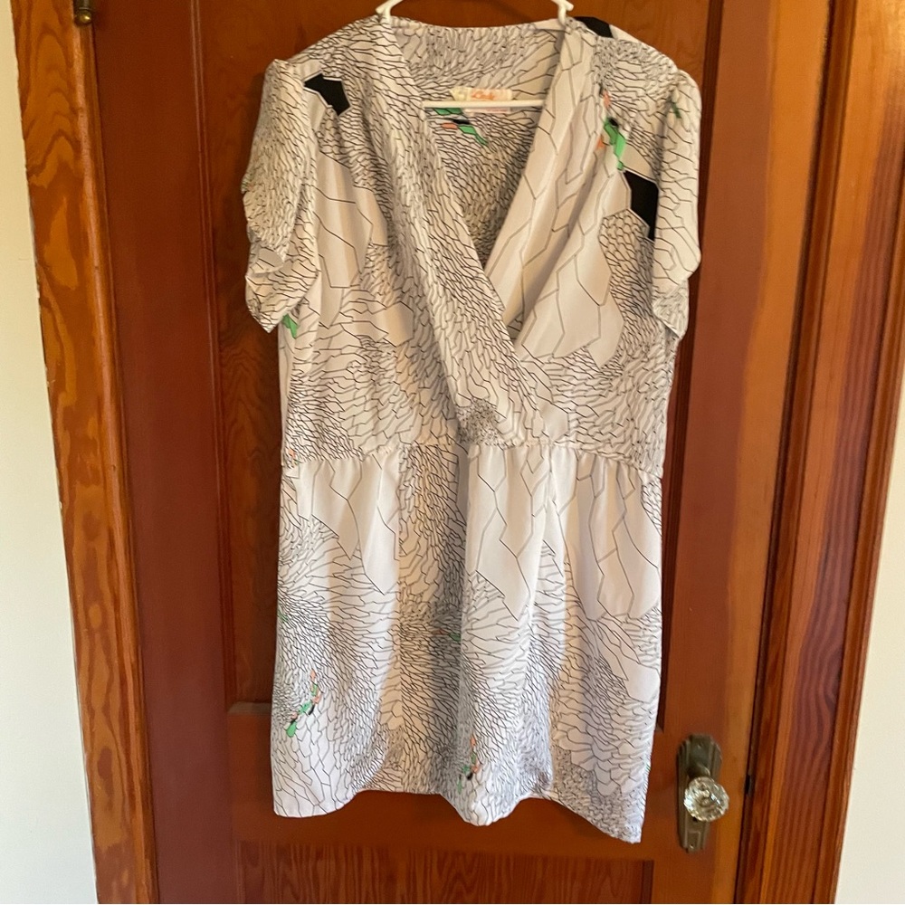 Lady Carol vintage women’s tunic dress